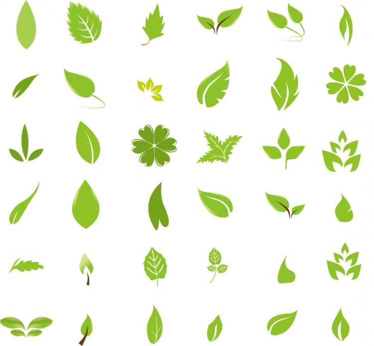 free vector Green Leaf Design Elements